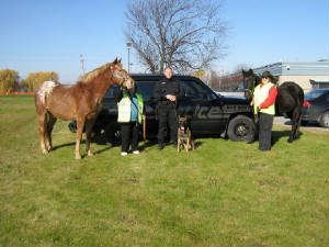 brockvillepolice14.jpg