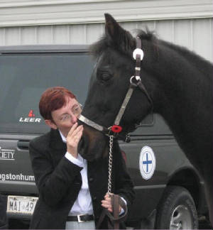 kingstonhumane2.jpg