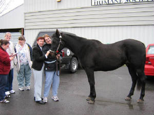kingstonhumane6.jpg