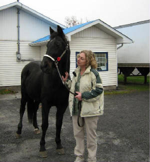 napaneehumane6a.jpg