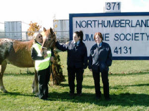 nhumsoc2.jpg