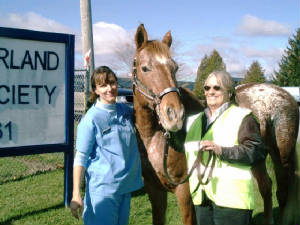 northumblerlandshelter2.jpg