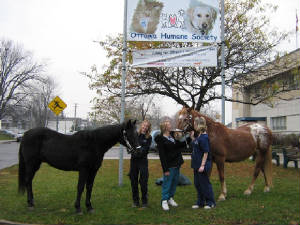 ottawahumane18a.jpg