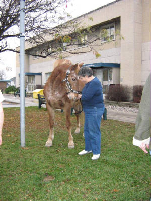 ottawahumane7a.jpg