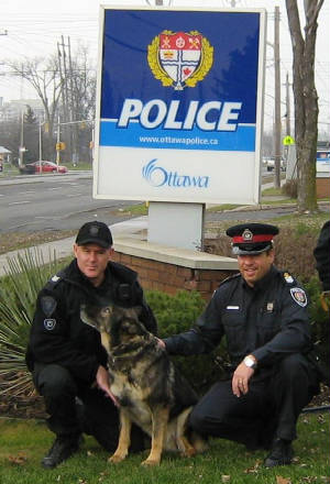 ottawanepean6.jpg