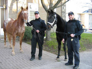 smithsfallspolice4.jpg