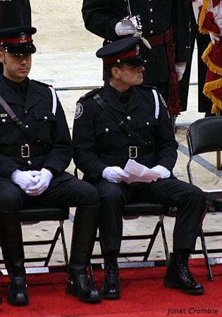 bradfield136.jpg