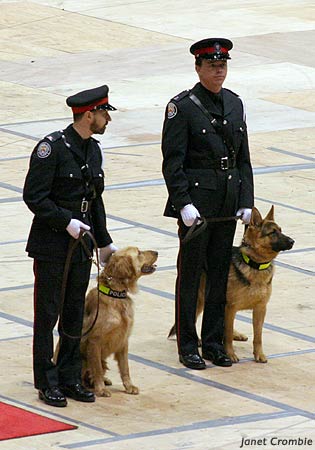 policedogs132.jpg