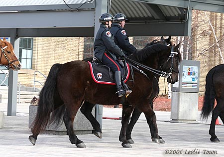 riding_in3_2834.jpg